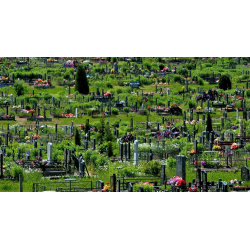 Кладбища в Минске